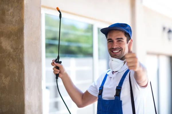 Seagoville Wasp Removal