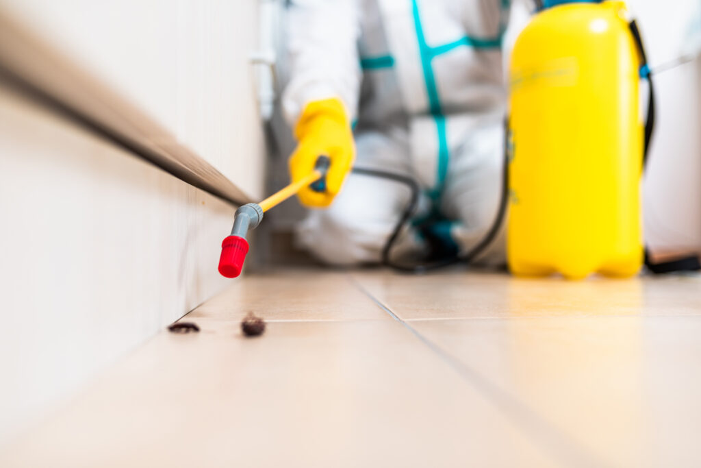 Seagoville Cockroach Experts