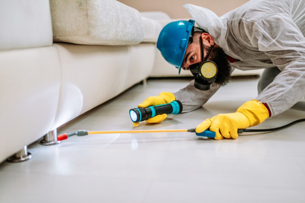 Seagoville Termite Control