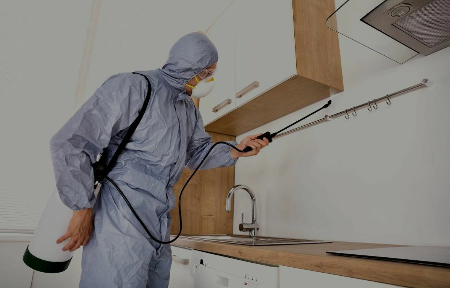 Seagoville pest managment